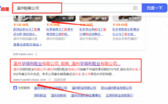溫州*得利鞋業(yè)有限公司SEO營(yíng)銷+精準(zhǔn)獲客