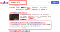 深圳市*慧世界科技有限公司百度排名排名效果展示