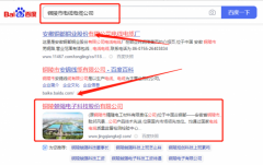 銅陵兢*電子科技股份有限公司優(yōu)化排名排名效果展示