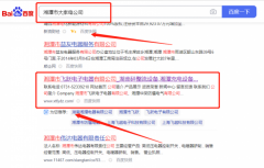 湘潭市飛*電子電器有限公司網(wǎng)站SEO優(yōu)化品牌營銷策劃機(jī)構(gòu)