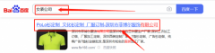 深圳市菲*爾服飾有限公司seo優(yōu)化案例欣賞