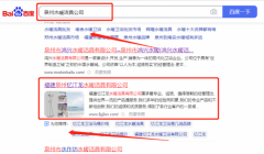 福建*江龍水暖潔具有限公司SEO排名案例欣賞