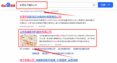 山東*盛新材料股份有限公司關(guān)鍵詞推廣排名效果展示