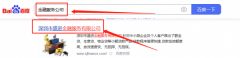 深圳市盛*金融服務(wù)有限公司關(guān)鍵詞排名案例欣賞