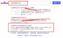 上海西*電子科技發(fā)展有限公司關(guān)鍵詞推廣到首頁無排名不收費(fèi)