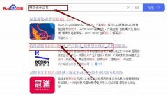 杭州瑞*設(shè)計股份有限公司網(wǎng)站優(yōu)化排名效果展示